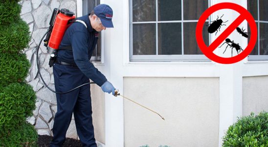 Eynesil Bit İlaçlama böcek ilaçlama ve haşere kontrolü — ilaclama-tr.com